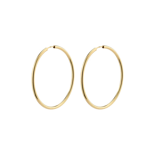 Hoop Earrings medium size 282326013