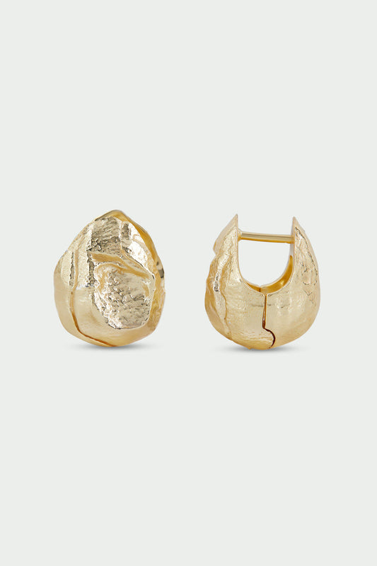 EA735 - Silt Earrings Gold