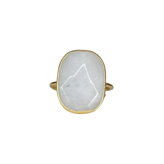 RV Ring Ted