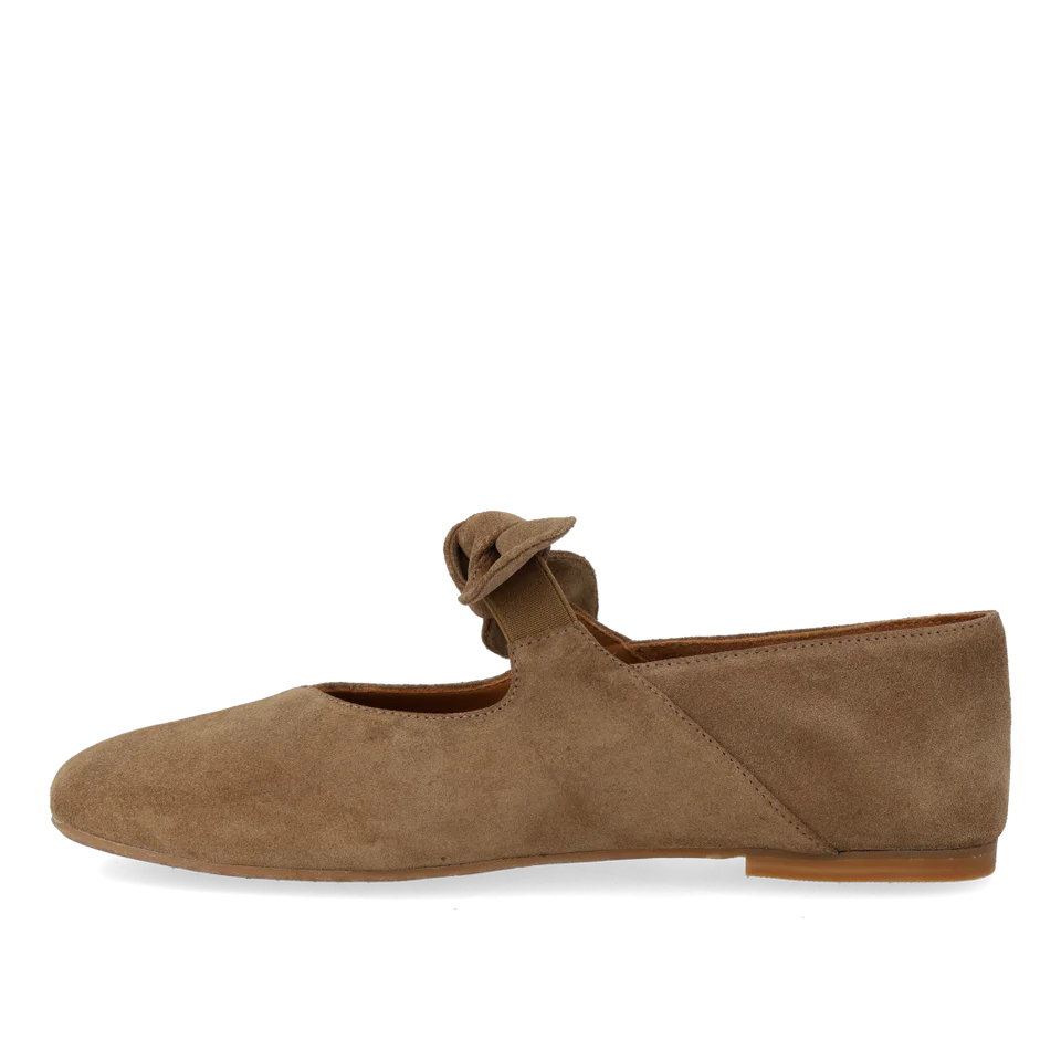1696-101 Ballerina in Suede With Elasticated Bow Detail Dessert