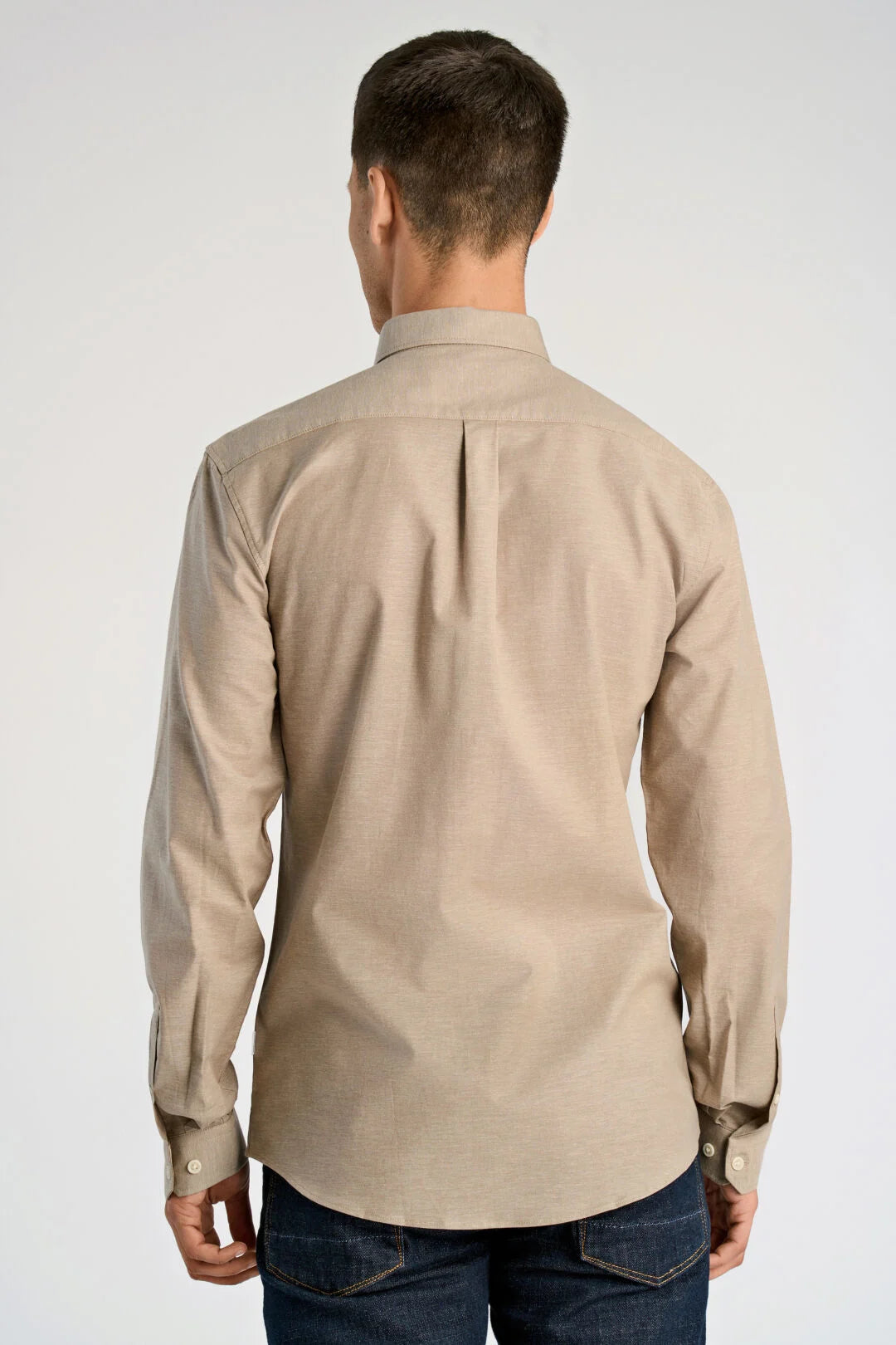 Mens - Oxford Button Down Shirt 203174B