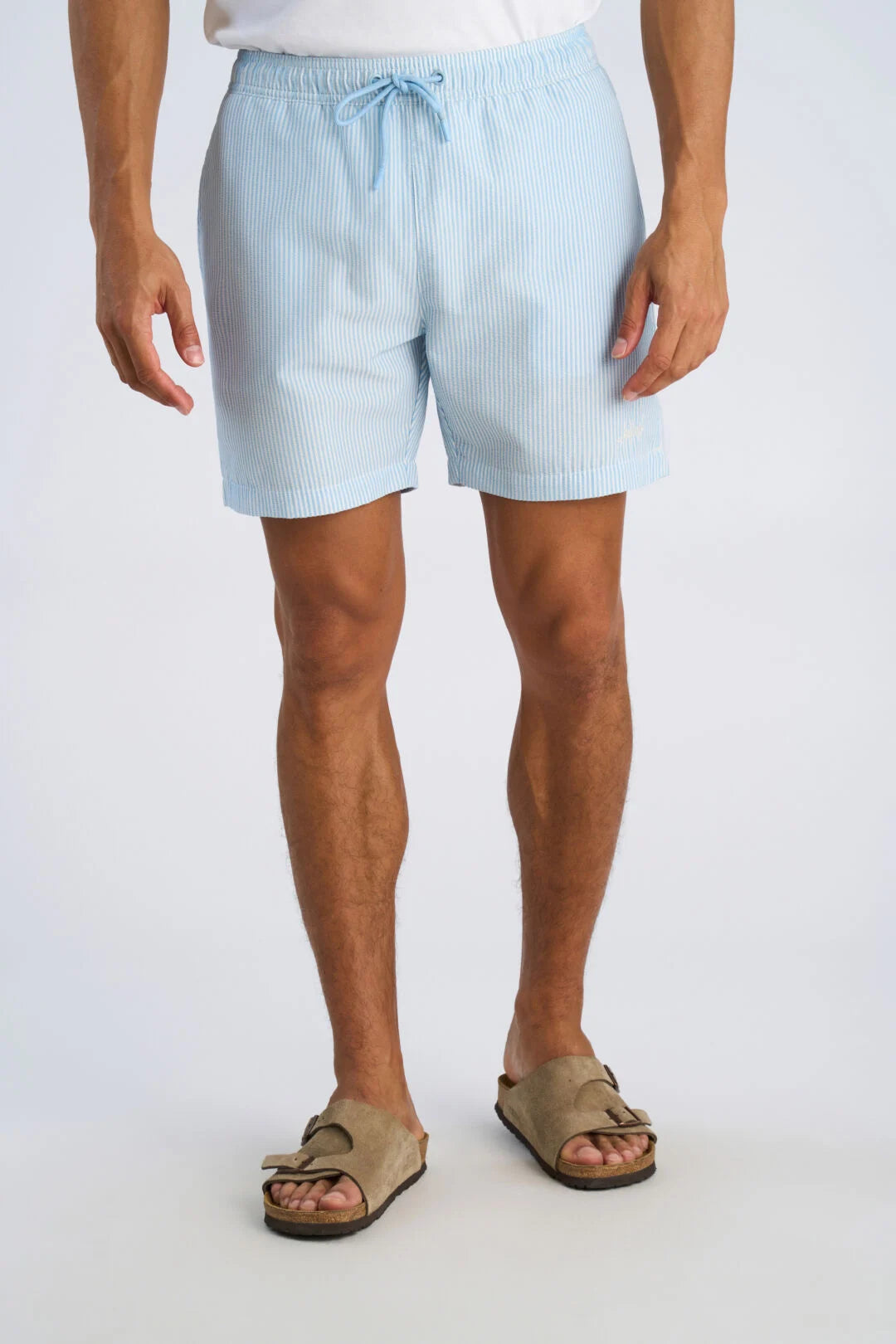 Mens - Striped Swim Shorts