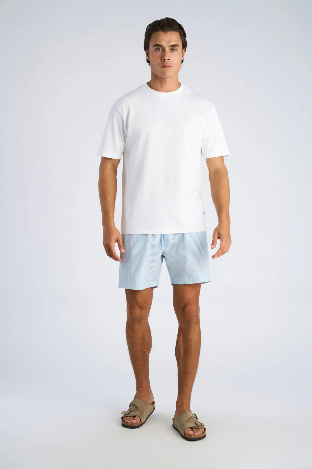 Mens - Striped Swim Shorts