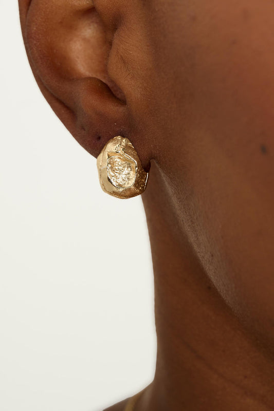 EA735 - Silt Earrings Gold