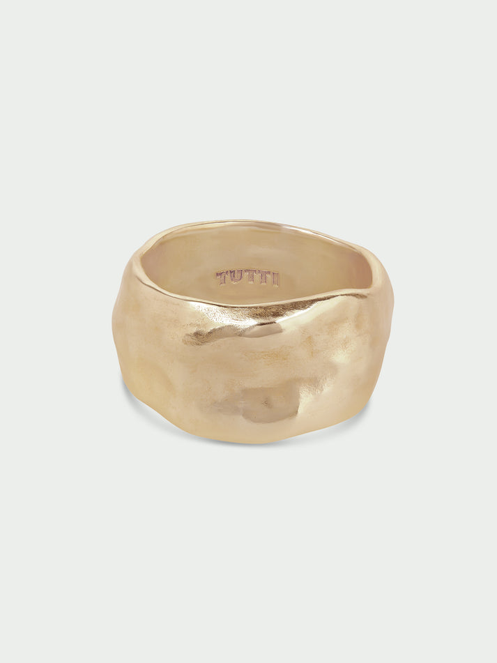 Earth Ring